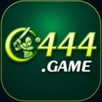 C444 Game