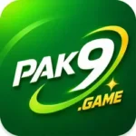 Pak9 Game APK